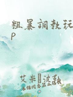 粗暴调教玩弄np