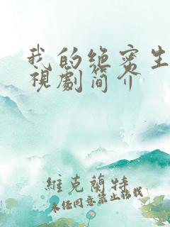 我的绝密生涯电视剧简介