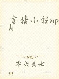 言情小说np高h