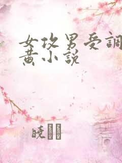 女攻男受调教高黄小说