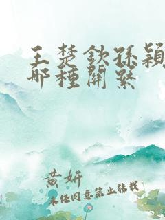 王楚钦孙颖莎是哪种关系