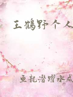 王鹤野个人简介