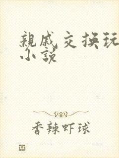 亲戚交换玩美妇小说