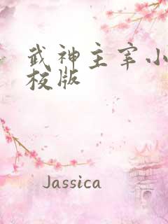 武神主宰小说精校版