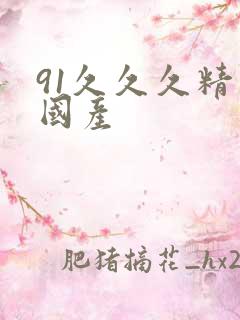 91久久久精品国产