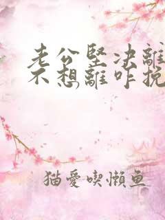 老公坚决离婚我不想离咋挽留