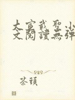 大宣武圣小说全文阅读无弹窗