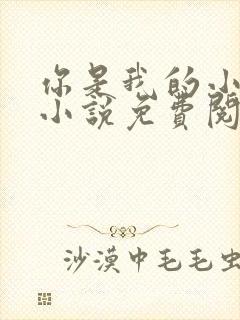 你是我的小确幸小说免费阅读全文