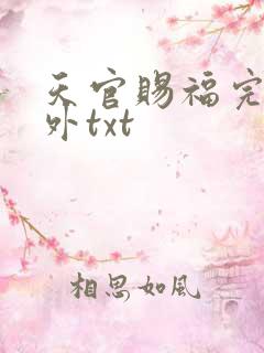 天官赐福完整番外txt