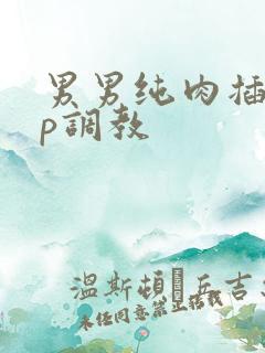 男男纯肉插入np调教