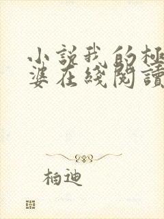 小说我的极品老婆在线阅读全文