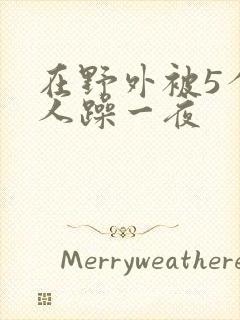 在野外被5个男人躁一夜