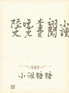 陆晚李翊小说全文免费阅读无弹窗