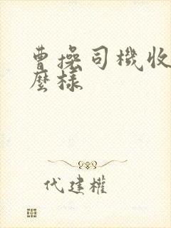 曹操司机收入怎么样