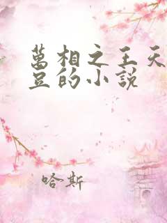 万相之王天蚕土豆的小说