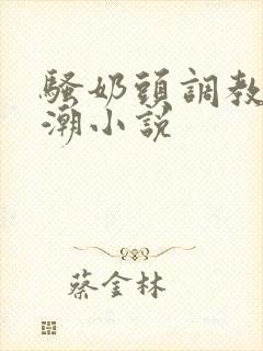 骚奶头调教h高潮小说