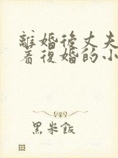 离婚后丈夫哭求着复婚的小说