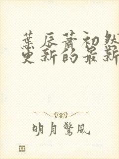 叶辰萧初然今天更新的最新章节