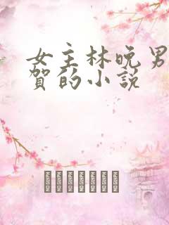 女主林晚男主姓贺的小说
