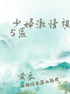 少妇激情视频15区