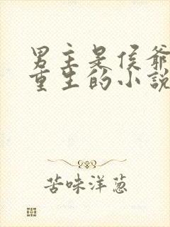 男主是侯爷女主重生的小说