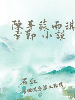 陈平苏雨琪最新章节 小说