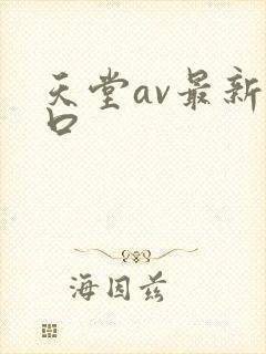 天堂av最新入口