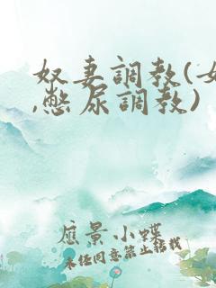 奴妻调教(女m,憋尿调教)