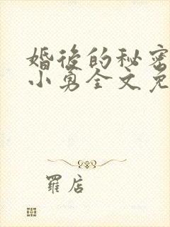 婚后的秘密张妍小勇全文免费阅读