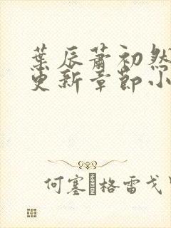 叶辰萧初然最新更新章节小说