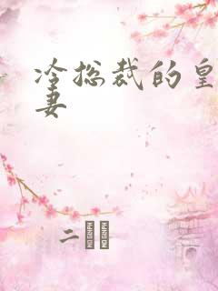 冷总裁的皇后暖妻