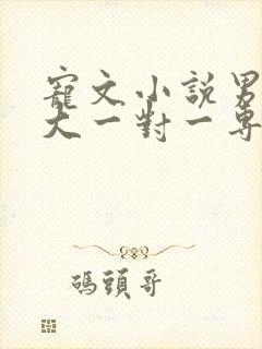 宠文小说男主强大一对一专宠短篇