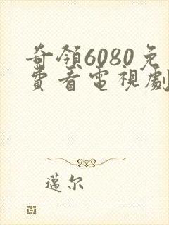 奇领6080免费看电视剧