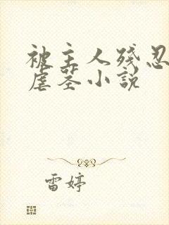 被主人残忍调教虐茎小说