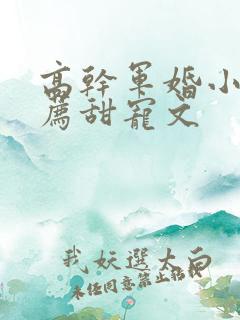 高干军婚小说推荐甜宠文