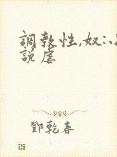 调教性,奴:小说虐