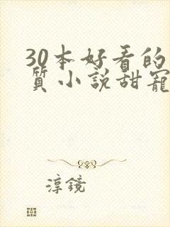 30本好看的肉质小说甜宠文