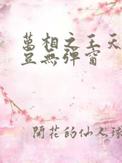 万相之王天蚕土豆无弹窗