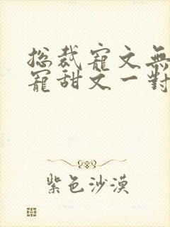 总裁宠文无虐超宠甜文一对一