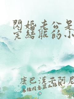 闪婚老公是豪门完结版的小说