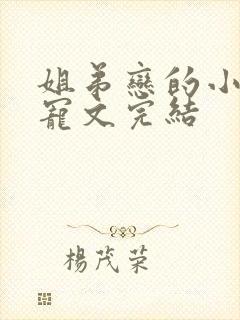 姐弟恋的小说甜宠文完结