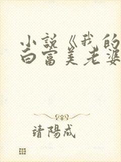 小说《我的总裁白富美老婆》