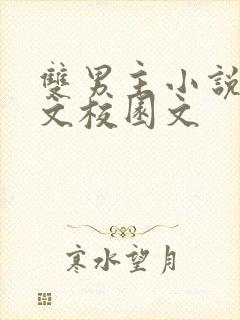 双男主小说甜宠文校园文