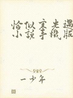 恰似寒光遇骄阳小说手机版