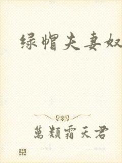 绿帽夫妻奴小说