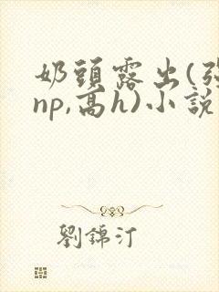 奶头露出(强jnp,高h)小说