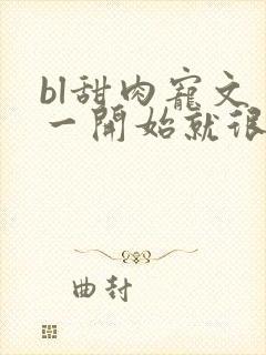 bl甜肉宠文 一开始就很宠