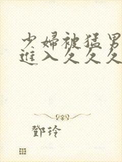 少妇被猛男猛烈进入久久久