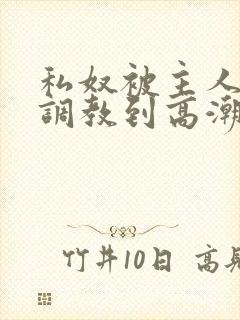 私奴被主人玩弄调教到高潮视频