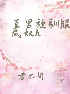 直男被驯服调教成奴h